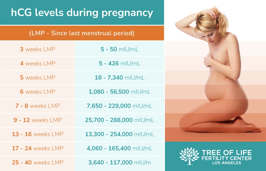 hCG levels table