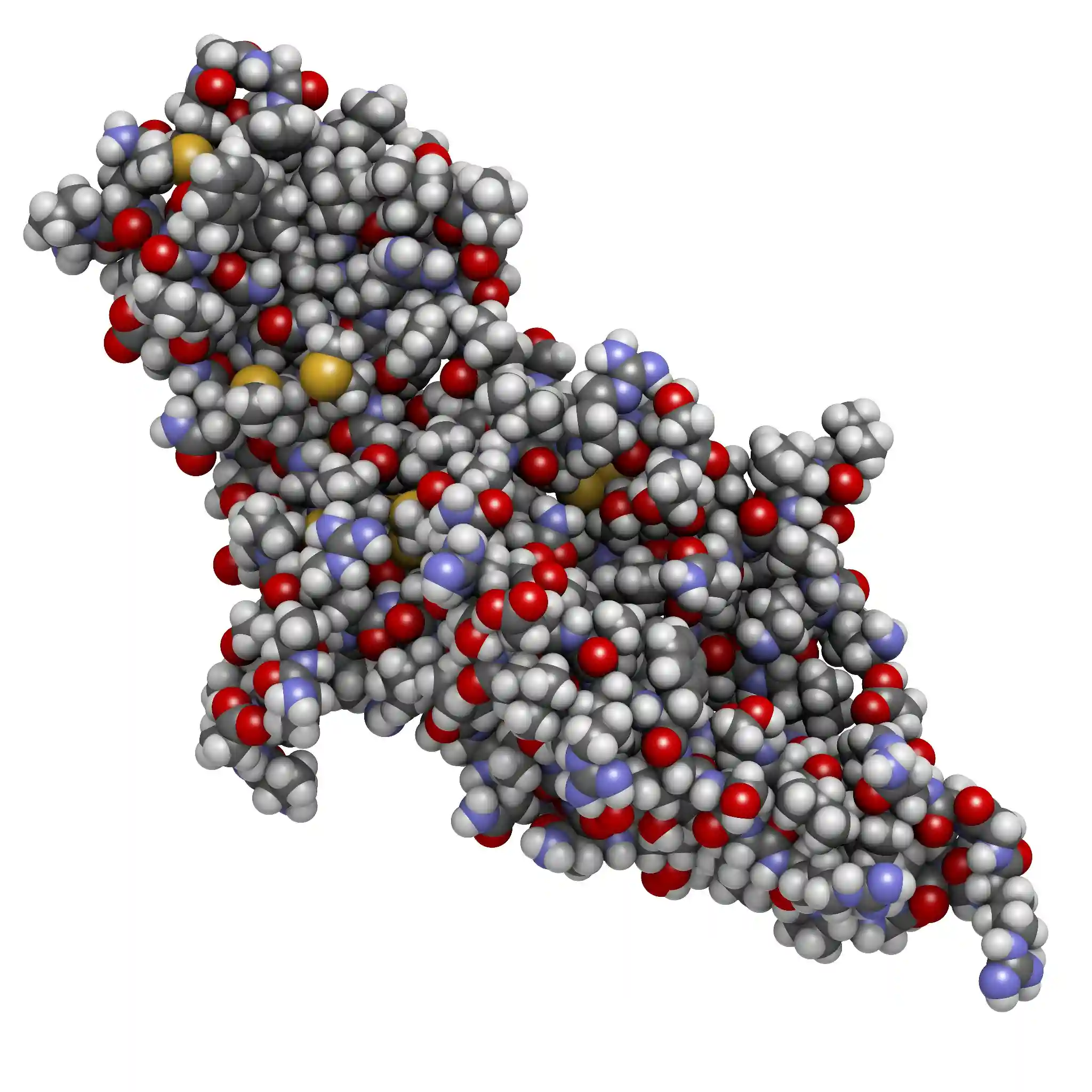 Human Chorionic Gonadotropin (hCG) glycoprotein hormone, chemical structure. Used in fertility treatments and in vitro fertilization. Detected in pregnancy tests.